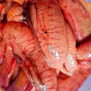 ইলিশের ডিম ৩ কেজি